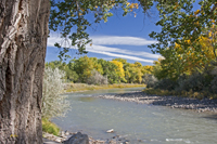 Animas River Farmington NM